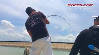 Vídeo: Cana Rapala Rapalero Bait Casting Rod Monotramo