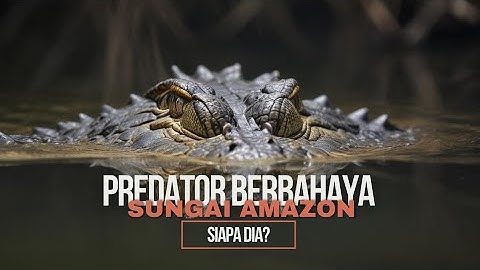 5 Predator Sungai Amazon Paling Berbahaya! Siapakah Mereka?
