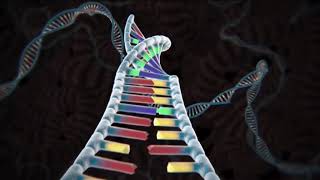 Genomic co-processor for long read assembly - Xilinx XOHW21 - xohw21-222 Guide