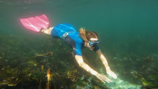 Freediving en las Islas Cíes al final del verano.