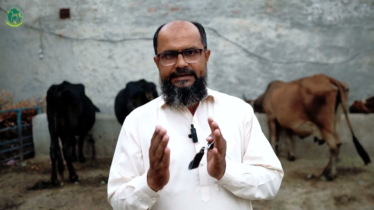 کامیابی کی کہانی  کسان کی زبانی Sexed Semen Straws | GCLI | Part 1