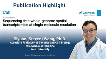 Sequencing-free whole-genome spatial transcriptomics at single-molecule resolution