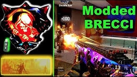 Black Ops 3 Modded Rapidfire Brecci