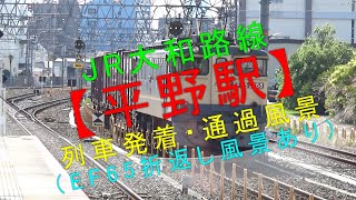 JR大和路線【平野駅 列車発着・通過風景（EF65折返し風景あり）】