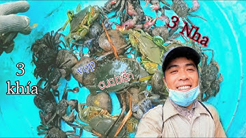 Hành Trình Săn Cua biển Cần Giờ | Bắt Thêm Con Ba Khía Về Rim Mặn Cho Bữa Cơm Chiều Có Thêm Chất Đạm