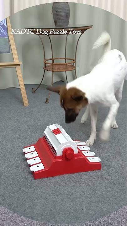 KADTC Puzzle toys! Best dog Toy in USA! D909125, Video published by Eoeo