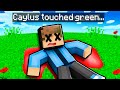 Minecraft but touching green kills you