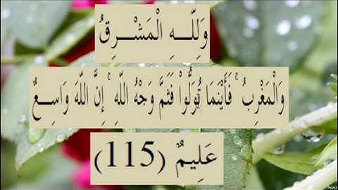 القران الكريم سورة البقرة الاية  115