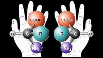 The Left-Handed Universe