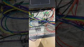 Final Project Lab exercise 3