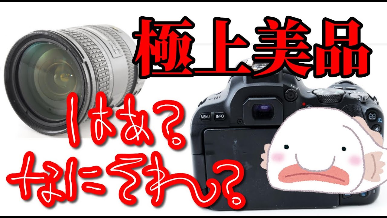 メルカリの闇 ヤフオクの闇 極上とは？ 動作未確認？ Nikon