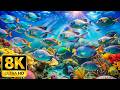 DREAM AQUARIUM 8K - Marine Life, Sea Animals and Coral Reef - Fish Tank Sounds for Deep Sleep