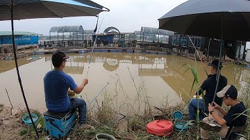 Khám phá điểm câu cá sông hồng - Điểm câu cá tự nhiên ít người biết