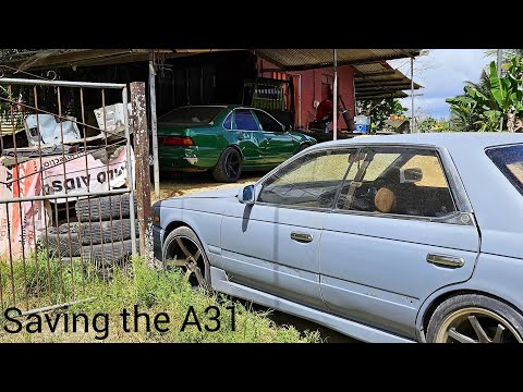 FINALLY RESORTING MY JDM A31 CEFIRO after years of neglect and abuse 😬 + update on Alex's laurel c33