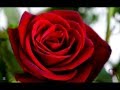 Love mix  01   the rose  bette midler  the seduction  james last band