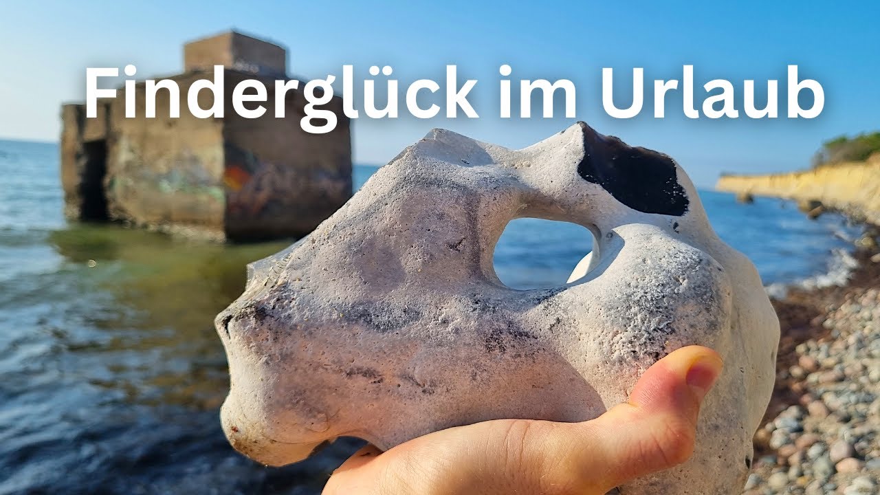 Ich hatte Finderglück - Fossilien suchen an der Ostsee