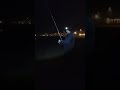 Dorada de racion con tanta corriente - por milagro