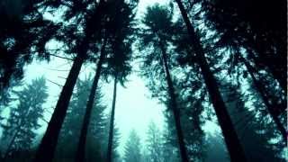 Inexistence - Distant