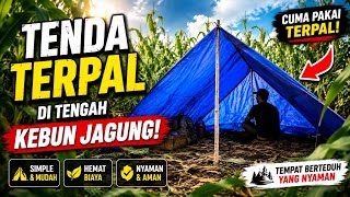 Building a Simple Tarp Tent in the Middle of a Cornfield | A Comfortable Shelter