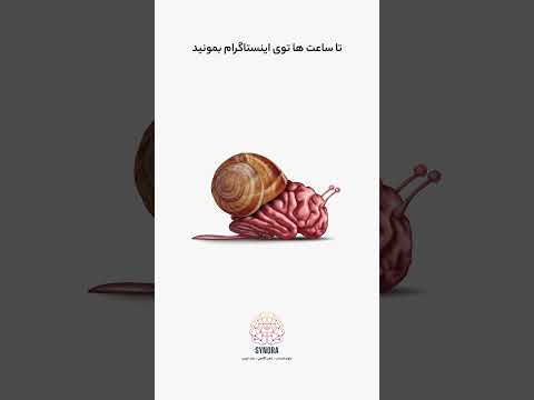 مغز ما به شکل عجیبی تنبله  بررسی قانون ۲۰ ثانیه