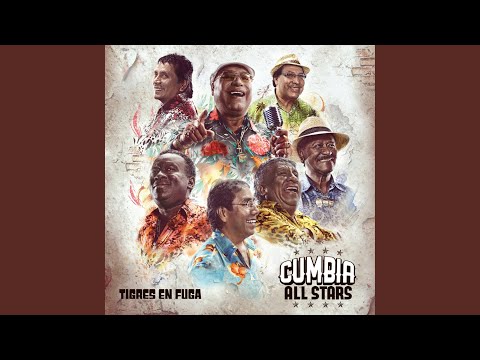 Putar La Tamborera - Cumbia All Stars