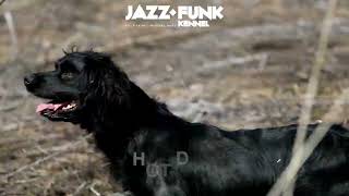 Jazz Funk HOT DOG