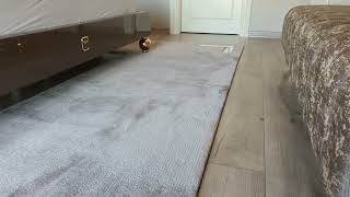 Zen Halı Özel Tasarım U Şeklinde Dokuma D Metalli Yatak Odası Halısı