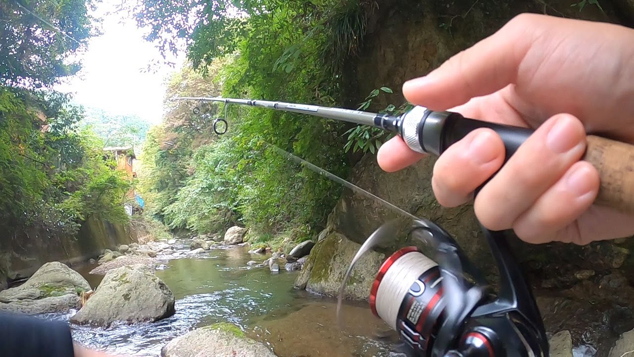 谷太郎川で魚釣り【神奈川】