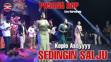 Enak Bener ❗❗❗ Sedingin Salju Versi Pusang ROP | Live Karawang
