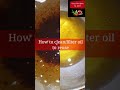 Easiest Way To Clean And Reuse Cooking Oil