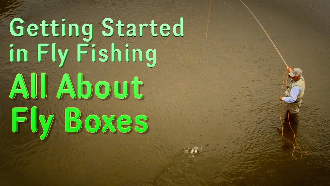 Getting Started in Fly Fishing: Selecting and Using Fly Boxes