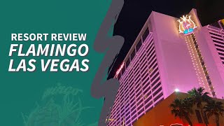 5 Reasons to Stay at the Flamingo Hotel in Las Vegas + Tips to make your  stay amazing - Family Travel Go LLC