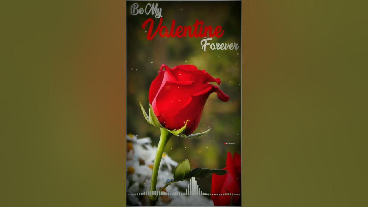 Valentine day status valentine special Whatsapp status love