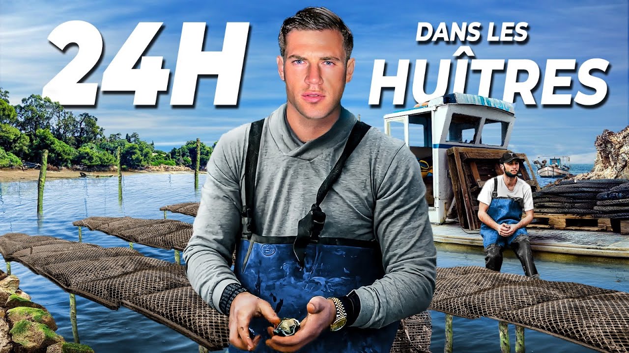 Je suis retourné à mon ancien travail.