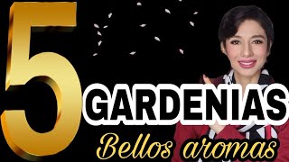 ✅Top 5 PERFUMES TIENEN GARDENIAS‼ flor sofisticada bonitos aromas...