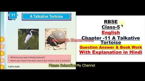 RBSE Class 5 English Chapter 11 A Talkative Tortoise || Question Answers