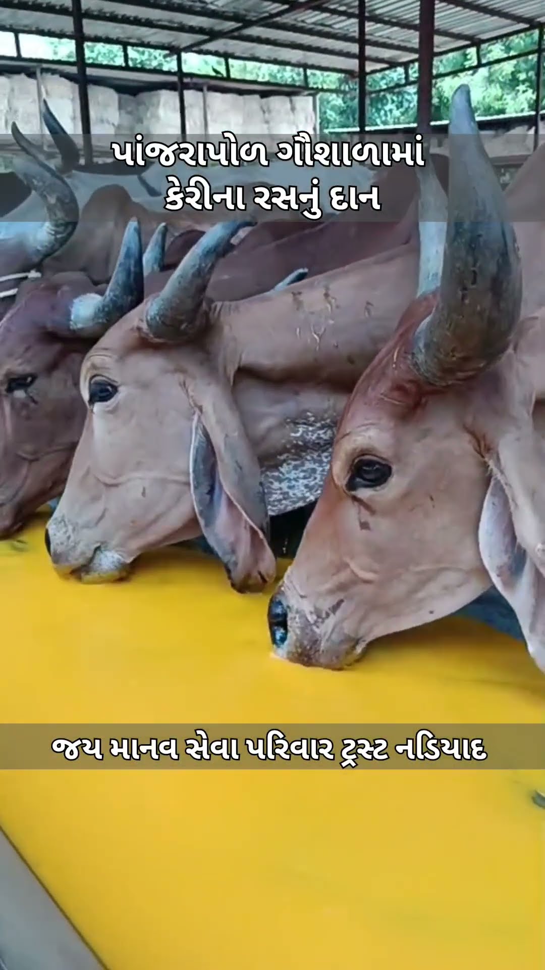 ✍ગુજરાતી સુવિચાર 📜 - ShareChat