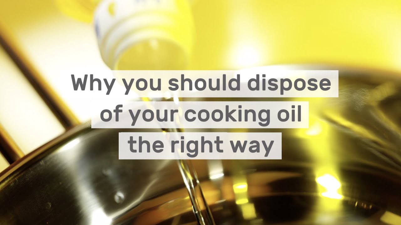 Why you should dispose of cooking oil the right way YouTube