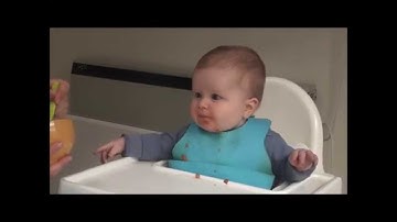 Family Food Patch: Introducing Solids Part 1