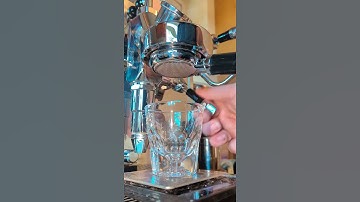 ECM Synchronika/Niche Zero