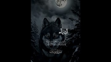 قال إني ليحزنني أن تذهبوا به وأخاف أن يأكله الذئب من اجمل تلاوات الشيخ سيد سعيد