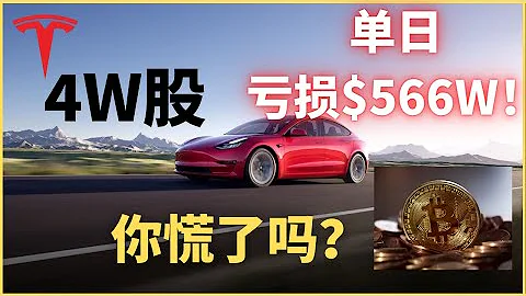 Eps 197 4万股特斯拉 单日亏损 556w 长线投资心法 Btc Eps 197 4万股特斯拉 单日亏损 556w 长线投资心法 Btc