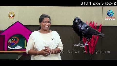 Mane Nobiscum I Cate. Class I STD 1 I Les. 3 I M. 2 I മതബോധനം Iക്ലാസ് 1I പാഠം 3 I ഭാഗം 2I Jeeva News