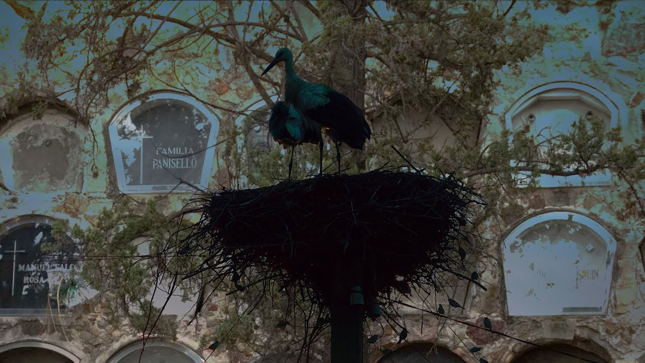 La transliteración como operatoria en psicoanálisis