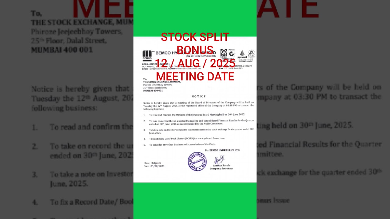 bemco hydraulics Ltd share 