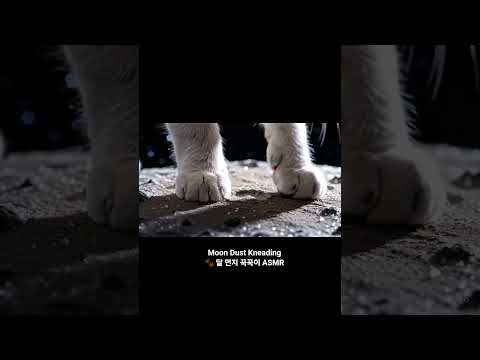 Moon Dust Kneading 달 먼지 꾹꾹이 ASMR