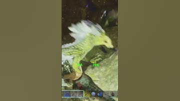 This Rock Drake is Build Different