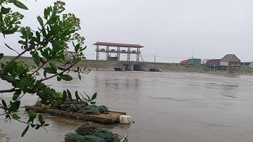 Câu cá vược (chẽm)biển kết quả... Không tưởng!