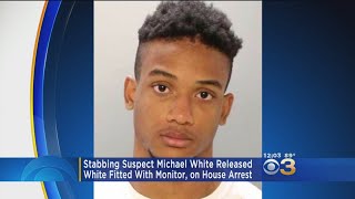 Rittenhouse Deadly Stabbing Suspect Michael White Released From Jail; Placed On House Arrest