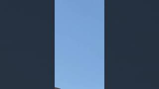 Raven Flees For It’s Life With A 360 Degree Flying Escape